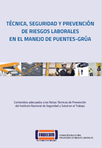 Portada de Manual Curso Puente Grúa